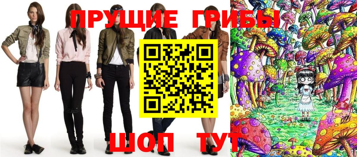 Псилоцибиновые грибы Magic Shrooms  хочу наркоту  Заводоуковск  Галлюциногенные грибы Psilocybine cubensis  Вход с VPN 